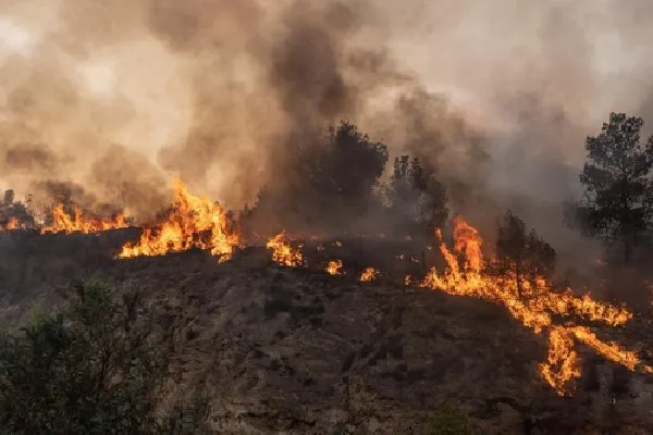 Emergency warning issued over South Australian grass fire