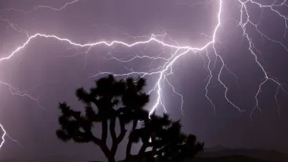 Two die of lightning as heavy rain lashes parts of Andhra Pradesh