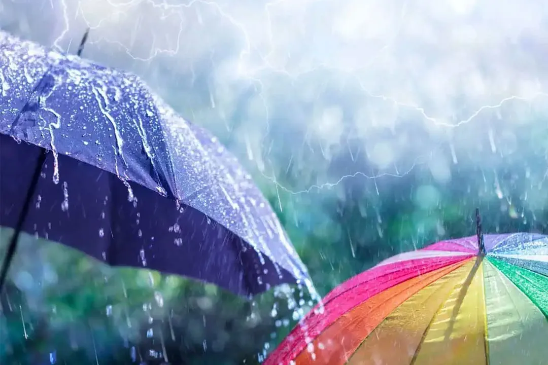 Andhra Pradesh Rains IMD Issues Alert for Next Four Days