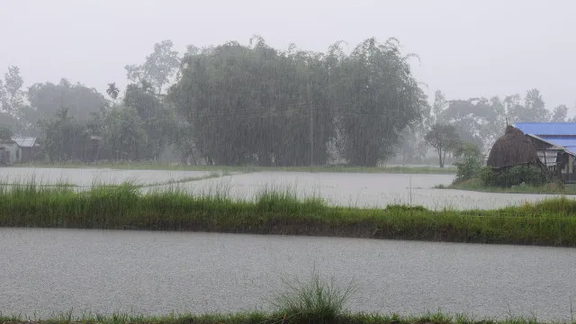 Low pressure continues in Bay of Bengal rains in AP tomorrow