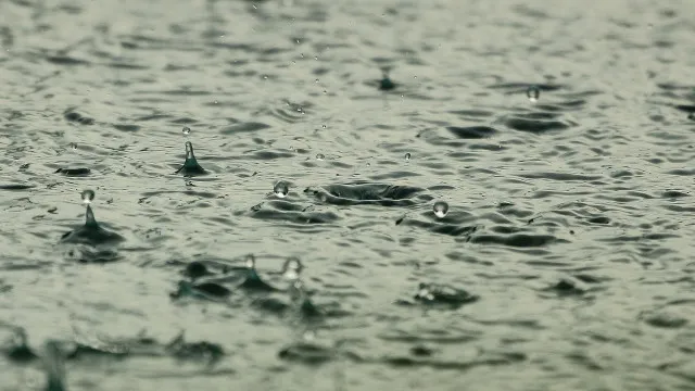 Andhra Pradesh Rain Forecast Rain for Next Three Days
