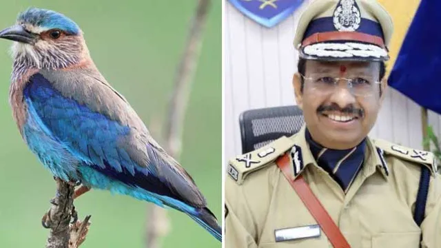 పాలపిట్టలను బంధిస్తే కఠిన చర్యలు.. సీపీ సజ్జనార్‌ హెచ్చరిక